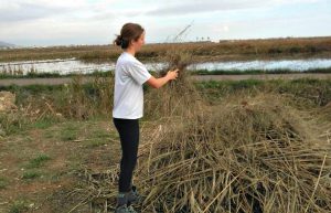 Spain - Conservation Projects in the Valencia Region23