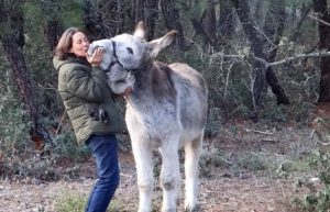 Spain - Wildlife Research and Ecological Farming13