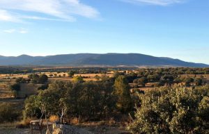 Spain - Wildlife Research and Ecological Farming19