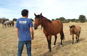 Spain - Wildlife Research and Ecological Farming20