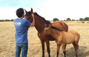 Spain - Wildlife Research and Ecological Farming23