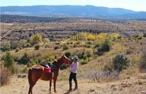 Spain - Wildlife Research and Ecological Farming4