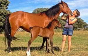 Spain - Wildlife Research and Ecological Farming9