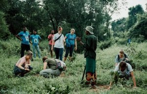 Sri Lanka - Wild Elephant Conservation and Research13