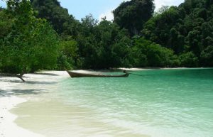 Thailand - Coastal Marine Conservation in Phang Nga12