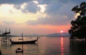 Thailand - Coastal Marine Conservation in Phang Nga16