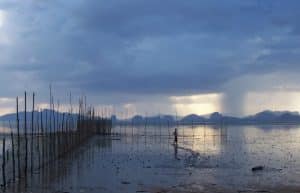 Thailand - Coastal Marine Conservation in Phang Nga17