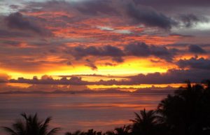 Thailand - Coastal Marine Conservation in Phang Nga19