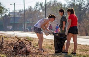 Zambia - Environmental Impact Internship24