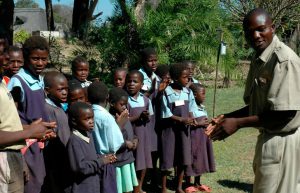 Zambia - Lion Rehabilitation and Conservation in Livingstone10