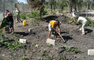 Zambia - Lion Rehabilitation and Conservation in Livingstone8