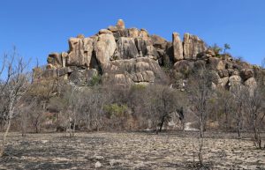 Zimbabwe - African Wildlife Orphanage18