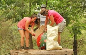 Zimbabwe - Family-Friendly African Wildlife Orphanage15