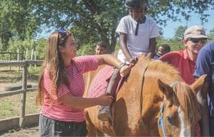 Zimbabwe - Horse Management and Lion Rehabilitation11