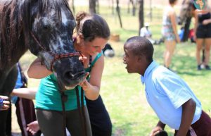 Zimbabwe - Horse Management and Lion Rehabilitation12