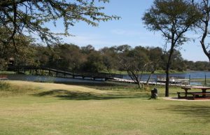 Zimbabwe - Horse Management and Lion Rehabilitation14