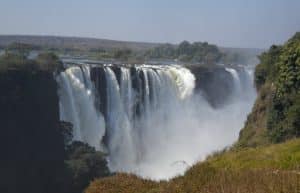 Zimbabwe - Lion Conservation in Victoria Falls2