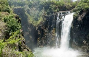 Zimbabwe - Lion Conservation in Victoria Falls31