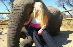 Zimbabwe - Lion Rehabilitation in Antelope Park10