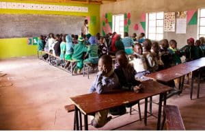 Zimbabwe - Teaching and Lion Rehabilitation in Antelope Park16