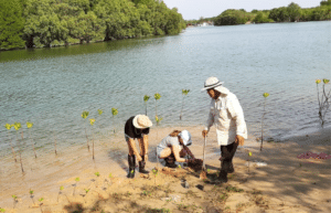 thailand-community-and-environment-program-for-teenagers2