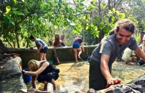 thailand-new-elephant-forest-refuge5