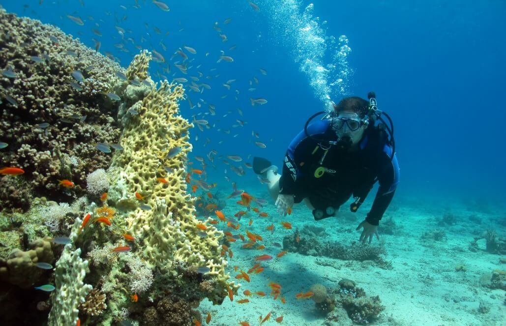 Israel - Coral Reef Conservation