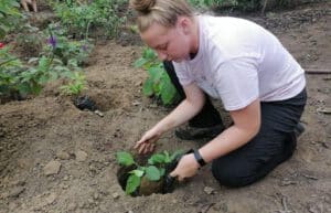 Ecuador - Sea Turtle Conservation and Environmental Outreach 18