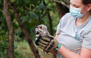 Malawi – Wildlife Rescue Center-new3