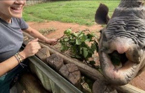 Rhino Orphan Sanctuary10