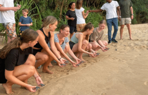 sri-lanka-family-turtle-new16