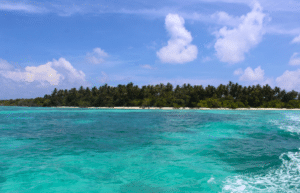 maldives-family-friendly-sea-turtle-conservation-eco-tour-24