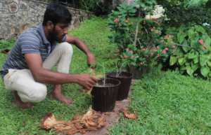 sri-lanka-environmental-conservation-program29