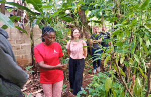 tanzania-kilimanjaro-reforestation-and-environmental-volunteer-program11