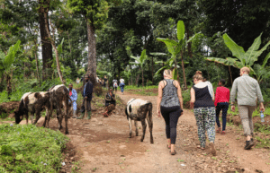 tanzania-kilimanjaro-reforestation-and-environmental-volunteer-program21