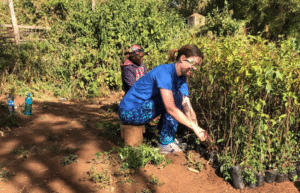 kenya-climate-change-and-wildlife-program-for-teenagers3