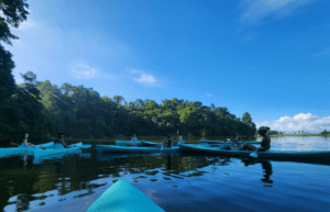 costa-rica-sea-turtle-protection-eco-oasis40