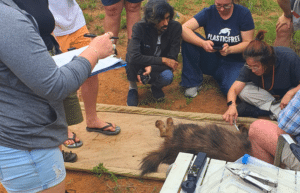 zimbabwe-pre-vet-african-wildlife-orphanage5