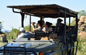 botswana-safari-volunteer-program13