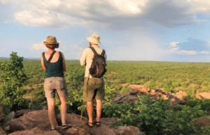 botswana-safari-volunteer-program21