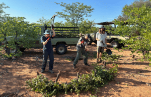 botswana-safari-volunteer-program41