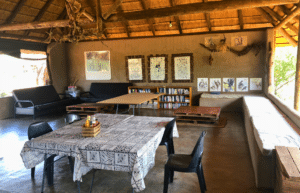 botswana-safari-volunteer-program55