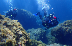 greece-greek-island-marine-conservation16