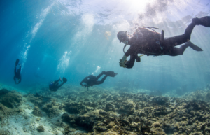 greece-greek-island-marine-conservation24