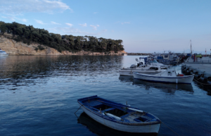 greece-greek-island-marine-conservation8