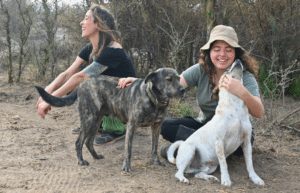 argentina-horse-volunteer-and-animal-sanctuary17