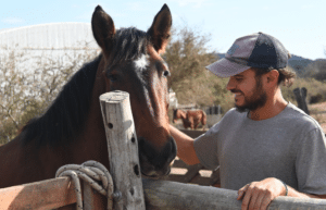 argentina-horse-volunteer-and-animal-sanctuary18