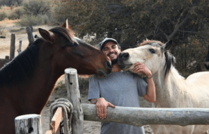 argentina-horse-volunteer-and-animal-sanctuary19