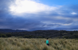 argentina-horse-volunteer-and-animal-sanctuary44