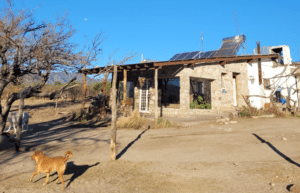 argentina-horse-volunteer-and-animal-sanctuary8